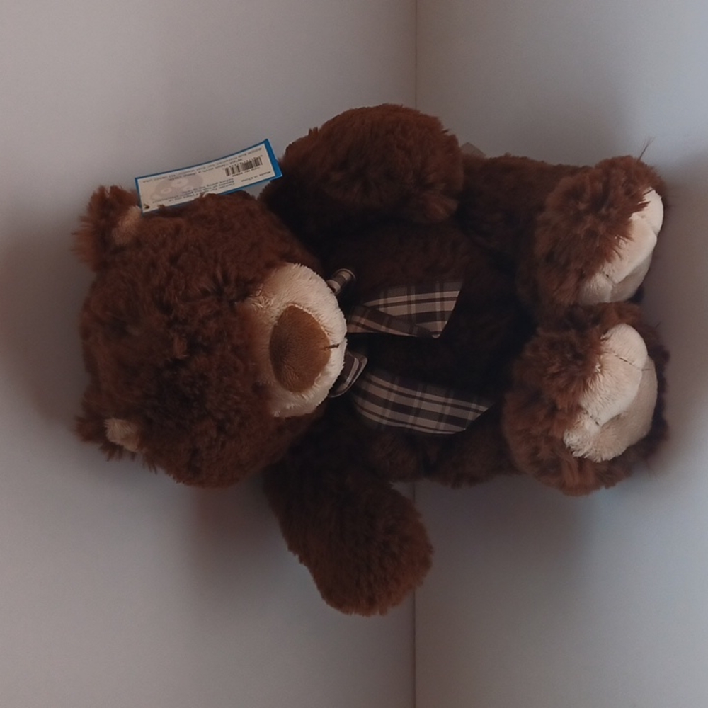 KIDS PREFERRED  BEAR PLUSH
